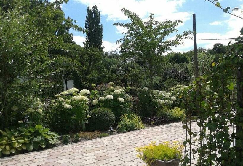 اتاق استاندارد, Bed And Breakfast Rodenberg