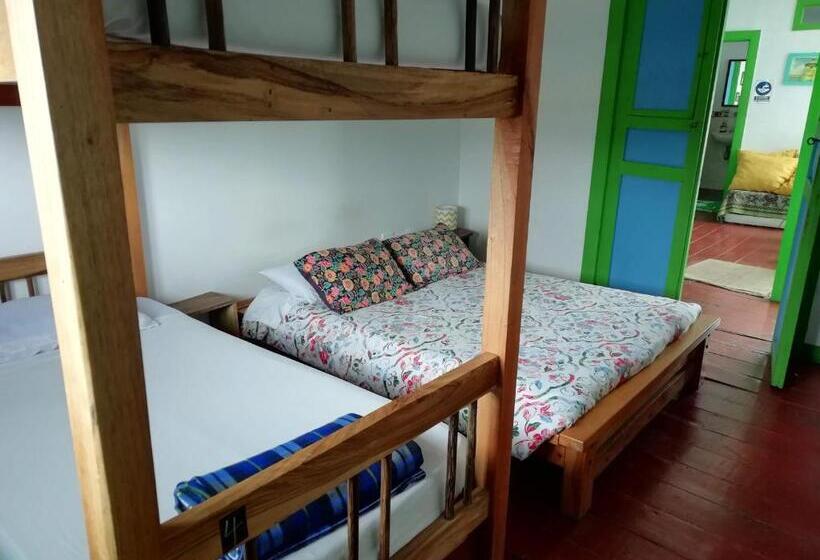 اتاق استاندارد سه تخته با سرویس بهداشتی مشترک, Bidea Backpackers Hostel