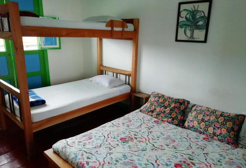 اتاق استاندارد سه تخته با سرویس بهداشتی مشترک, Bidea Backpackers Hostel