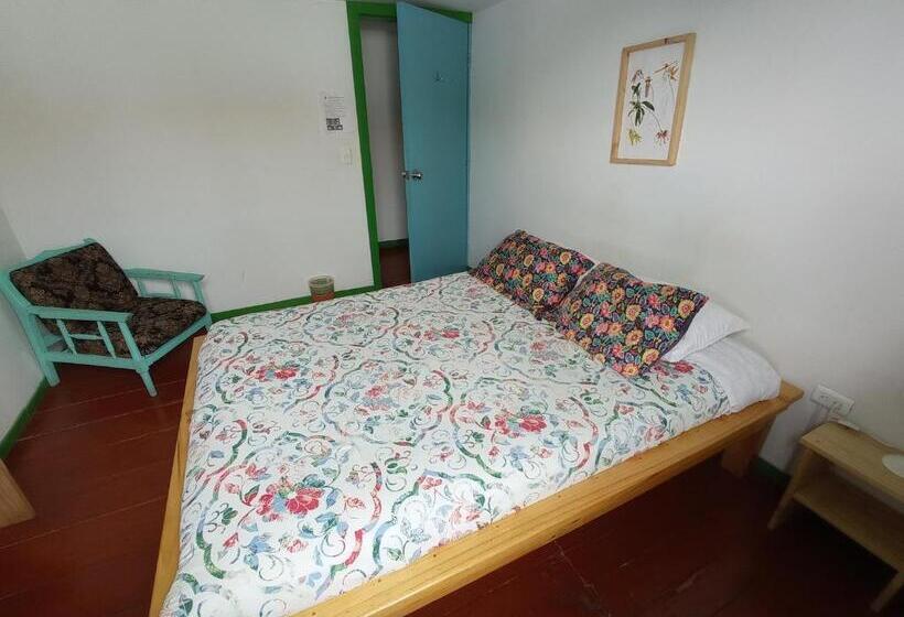 اتاق استاندارد با سرویس بهداشتی مشترک, Bidea Backpackers Hostel