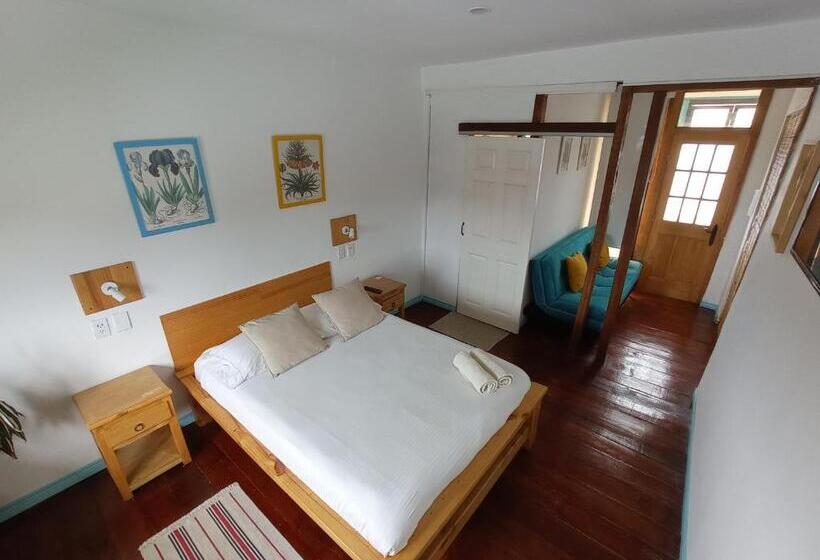 اتاق لوکس, Bidea Backpackers Hostel