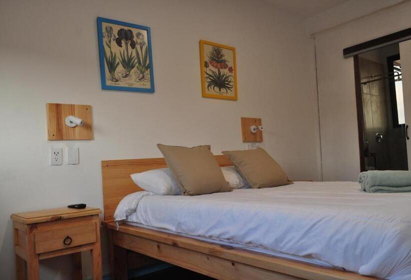 اتاق لوکس, Bidea Backpackers Hostel