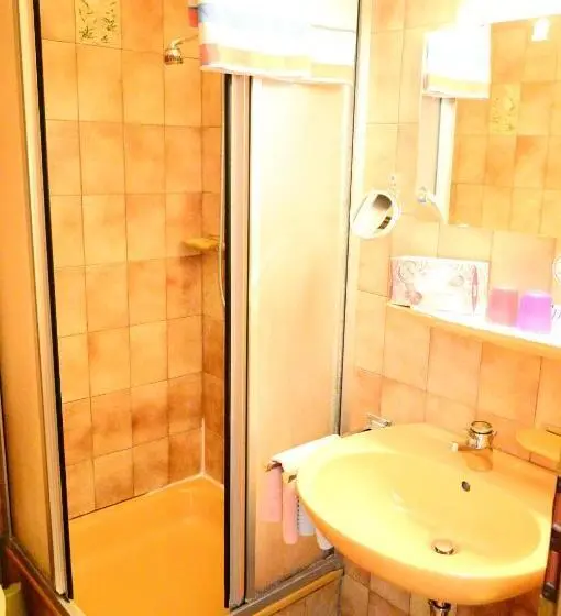Standart Tek Kişilik Oda, Bayersoier Hof