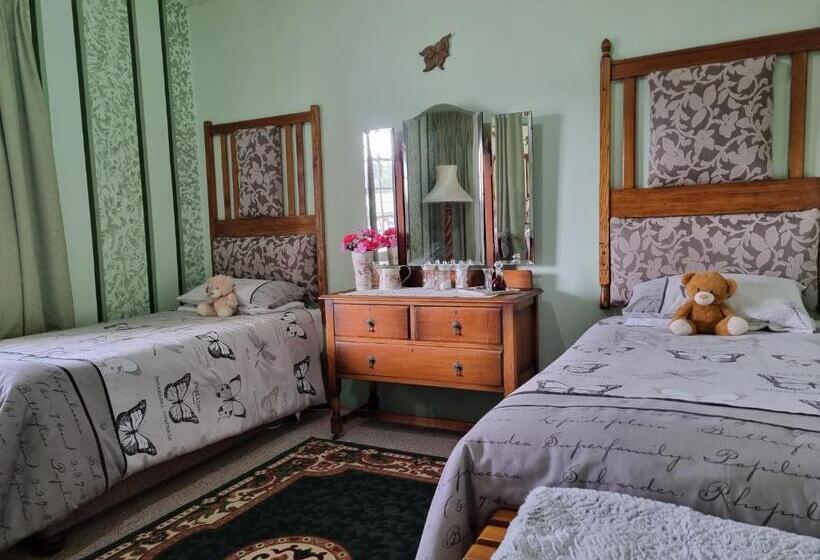 マウンテンビューファミリールーム, Mountain View Country Inn