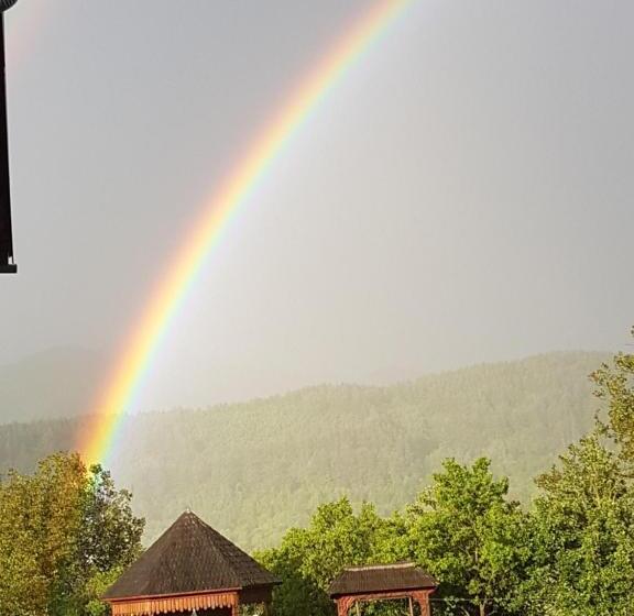 חדר סטנדרט, Pensiunea Teodora Teleptean