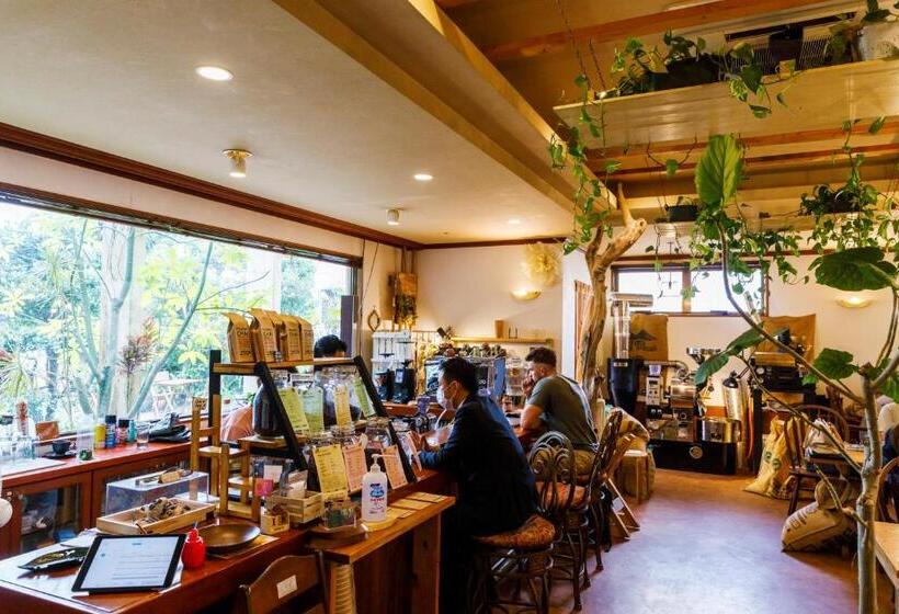 オーシャンビュージュニアスイート, Blue Steak Wonder Nagahama Okinawa Yomitan