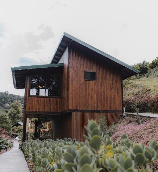 Номер Стандарт 2 Двуспальные Кровати, Lauraceas Lodge