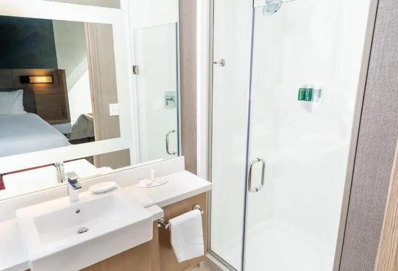 キングサイズベッドのスイートルーム, Springhill Suites By Marriott Newark Fremont