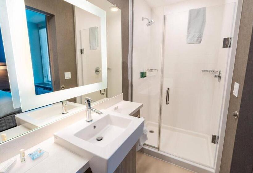 Люкс Кровать Кинг, Springhill Suites By Marriott Newark Fremont