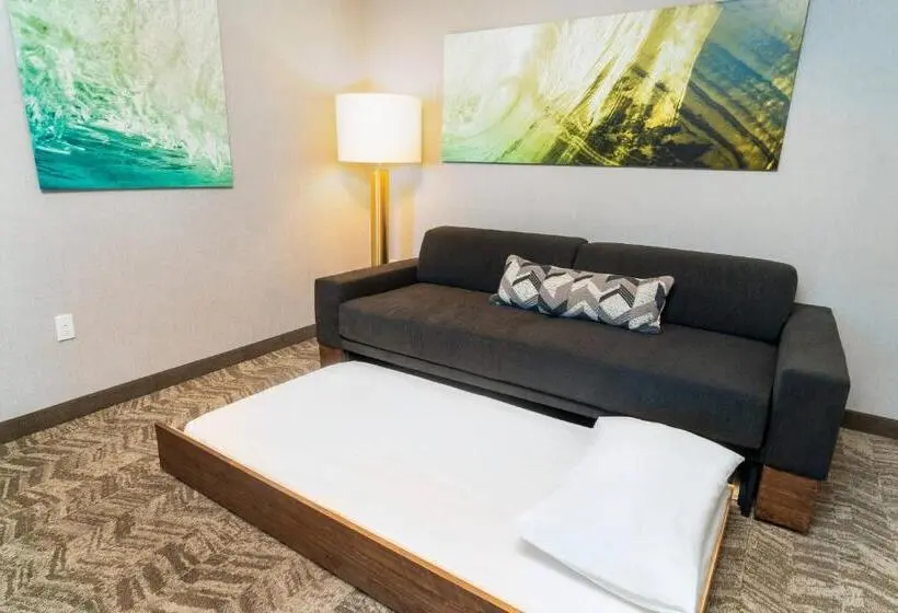 キングサイズベッドのスイートルーム, Springhill Suites By Marriott Newark Fremont