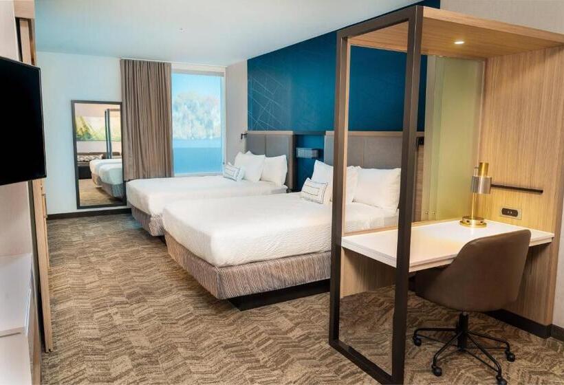 Люкс, Springhill Suites By Marriott Newark Fremont