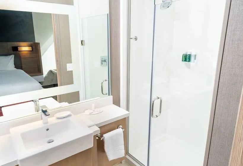 スイート, Springhill Suites By Marriott Newark Fremont