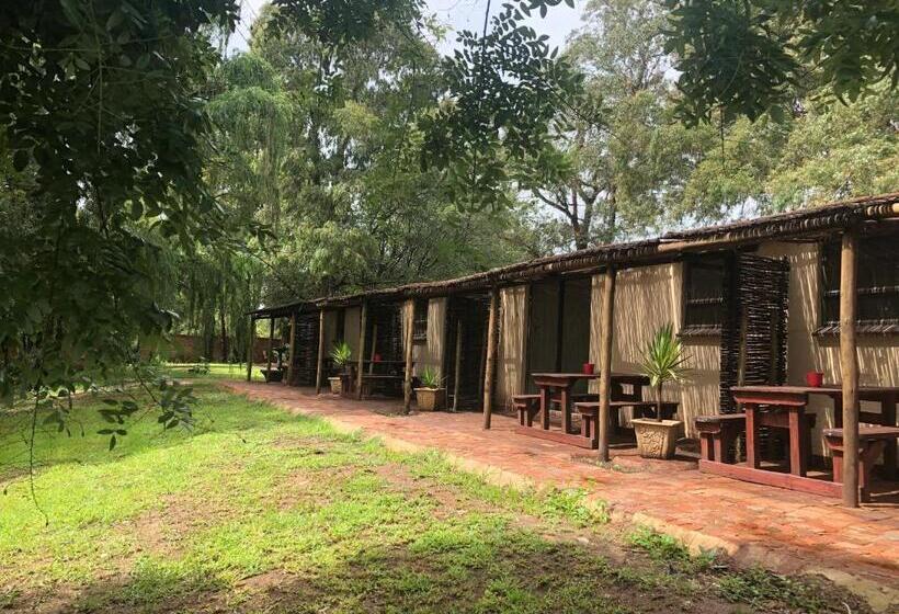 Классический Номер, Treetopia Guesthouse