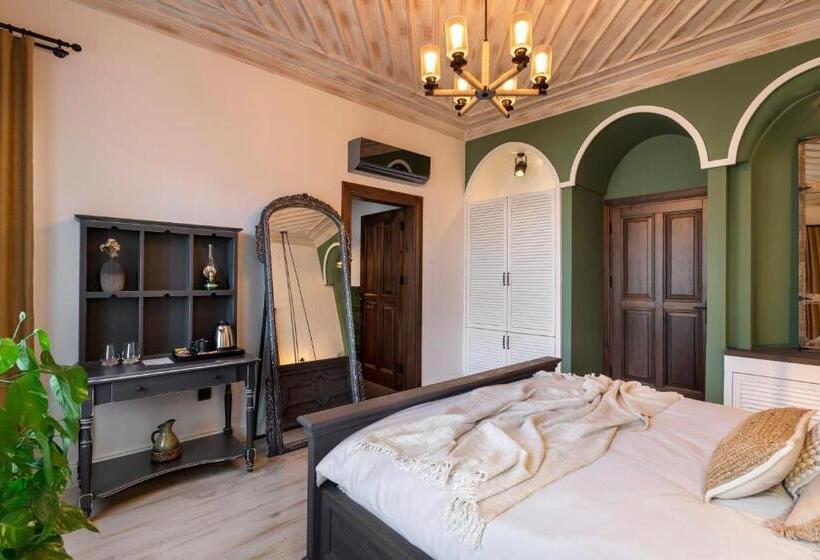 اتاق استاندارد با تخت بزرگ, Casa Sur Antalya