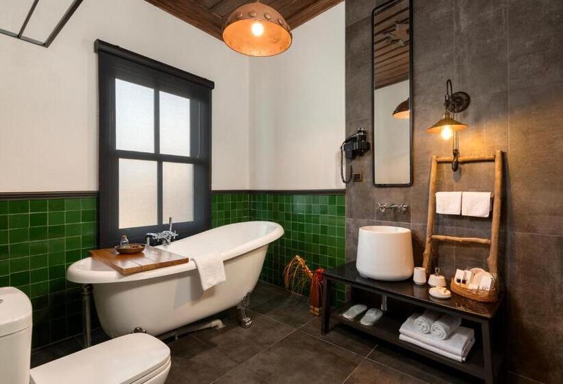 اتاق استاندارد با تخت بزرگ, Casa Sur Antalya