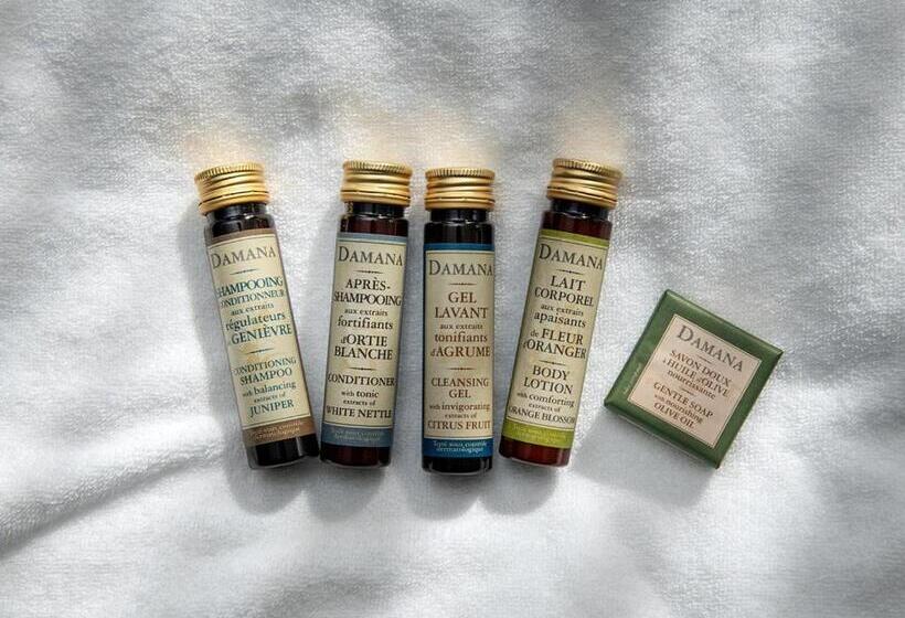 套房, Alice And Trunk