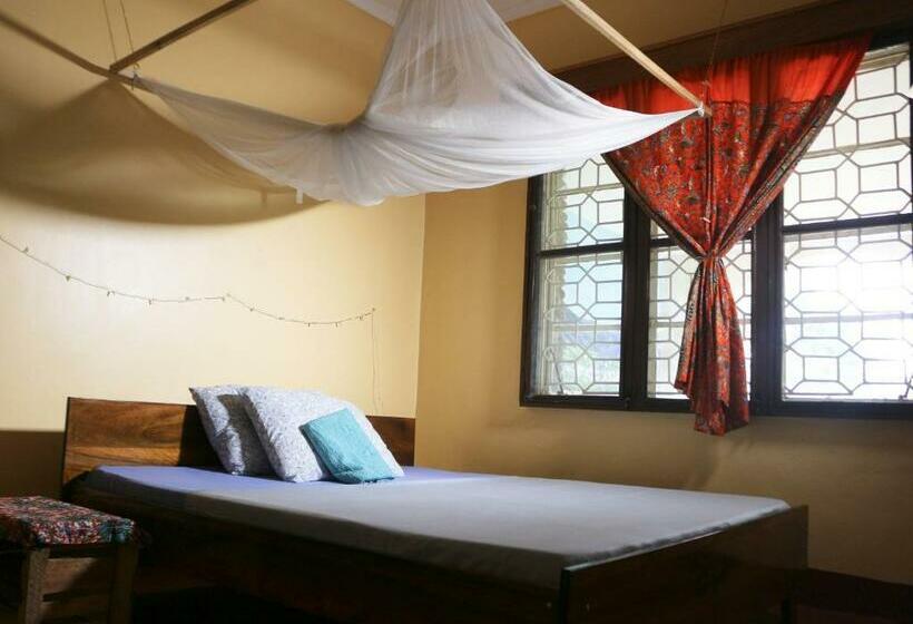 スタンダードルーム, Kiwavi Home