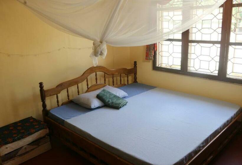 スタンダードルーム, Kiwavi Home