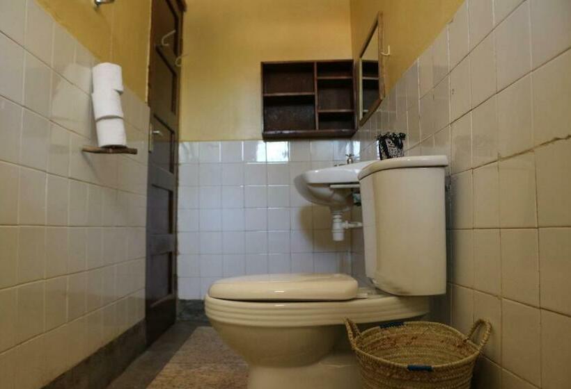 スタンダードルーム, Kiwavi Home