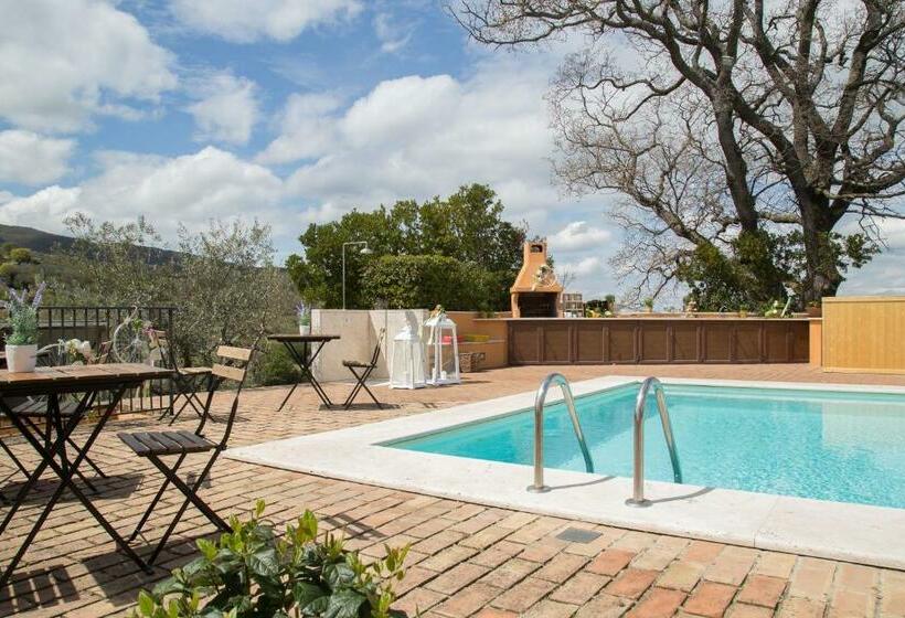 Полулюкс Одноместный с Террасой, Villa Chiara Relax