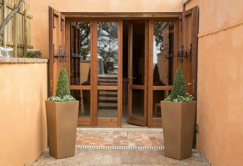 Полулюкс Одноместный с Террасой, Villa Chiara Relax