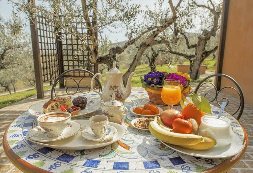 Полулюкс Одноместный с Террасой, Villa Chiara Relax