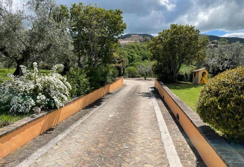 Полулюкс Одноместный с Террасой, Villa Chiara Relax