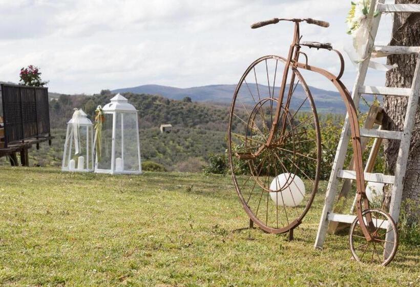 Вилла с 1 спальней и бассейном, Villa Chiara Relax