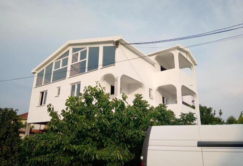 تختخواب در اتاق مشترک, Hostel Olea