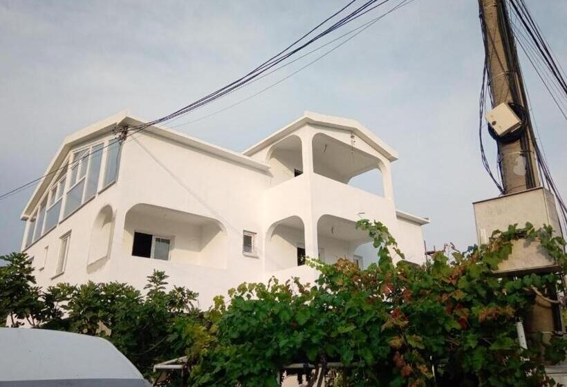 تختخواب در اتاق مشترک, Hostel Olea