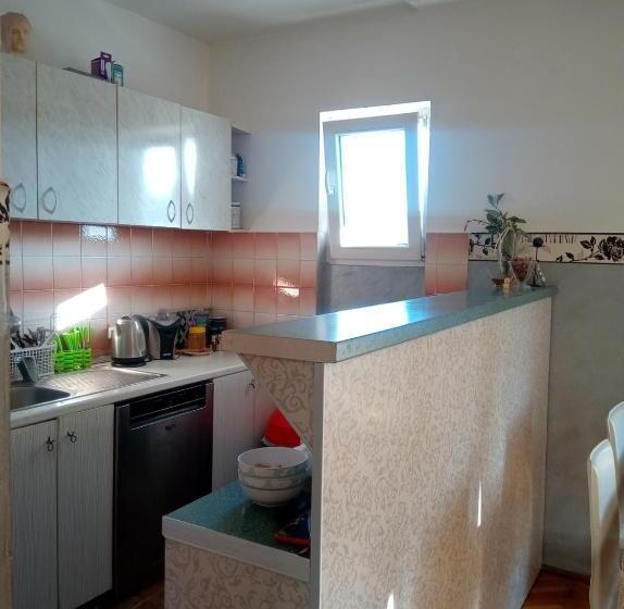 آپارتمان 1 خوابه, Hostel Olea