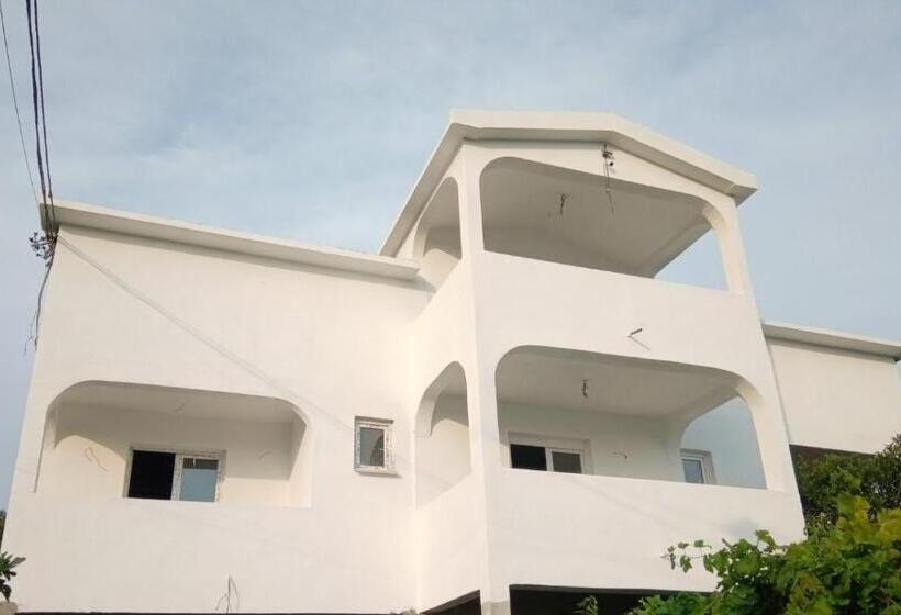 تختخواب در اتاق مشترک, Hostel Olea