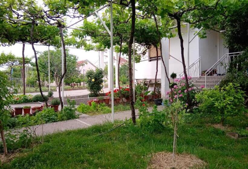 آپارتمان 1 خوابه, Hostel Olea