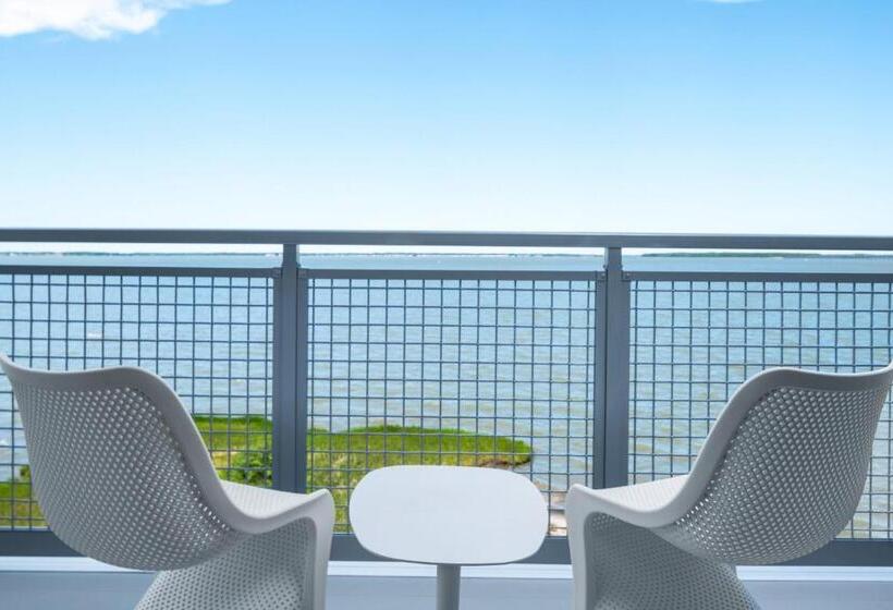 اتاق استاندارد با تخت بزرگ, Aloft Ocean City