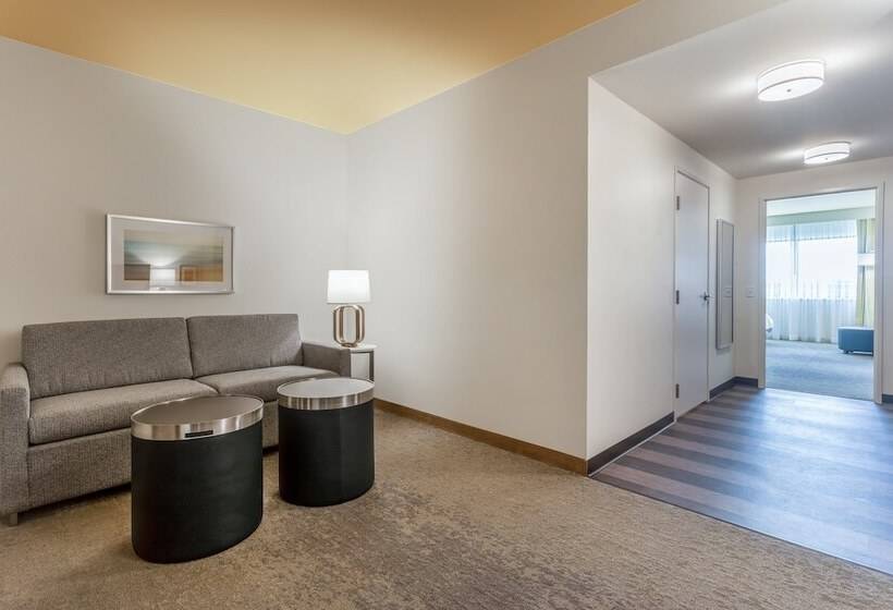 جناح لذوى الاحتياجات الخاصة, Holiday Inn & Suites Cedar Falls Waterloo Event Ctr, An Ihg