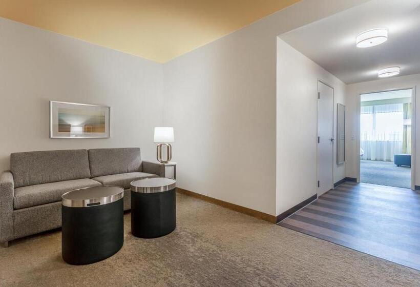 Люкс, Holiday Inn & Suites Cedar Falls Waterloo Event Ctr, An Ihg