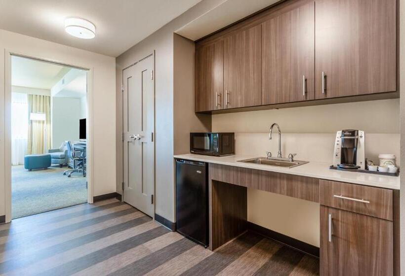 Номер Стандарт Адаптированный для Инвалидов, Holiday Inn & Suites Cedar Falls Waterloo Event Ctr, An Ihg