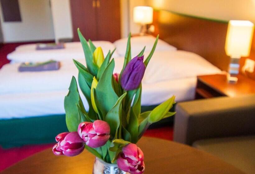 غرفة قياسية لذوى الاحتياجات الخاصة, Alte Bäckerei