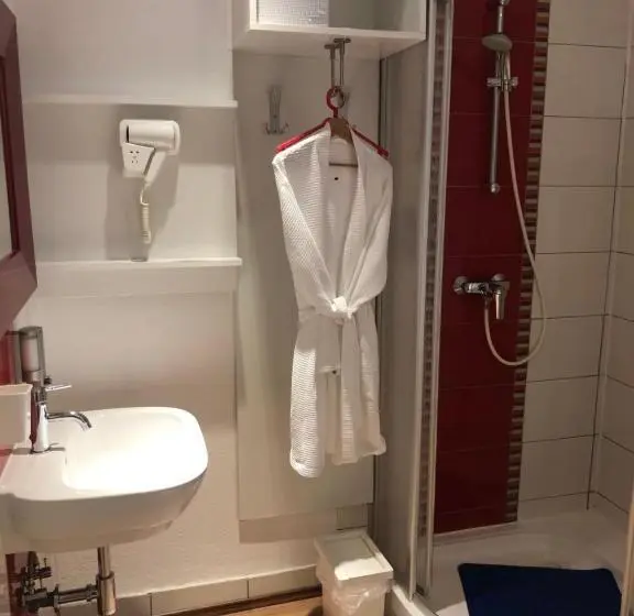 スタンダードシングルルーム, Center Rooms Villach