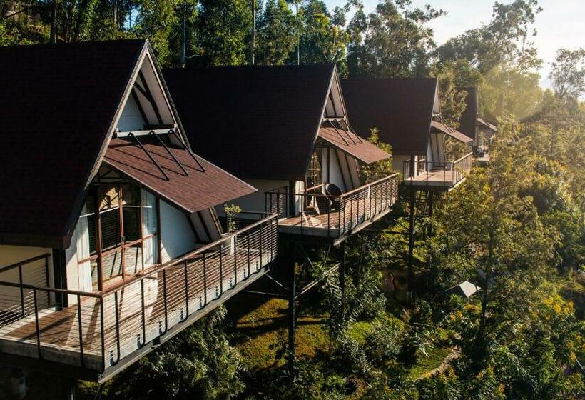 شاليه غرفة نوم واحدة, Anasa Wellness Resort