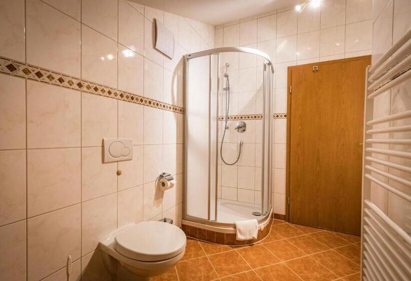 Номер Стандарт с Балконом, Kurhotel Falter