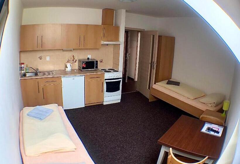 اتاق استاندارد چهار تخته, Apartmany U Gigantu