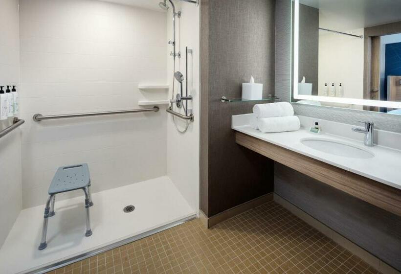 带大床的套房, Springhill Suites By Marriott New York Jfk Airport/jamaica