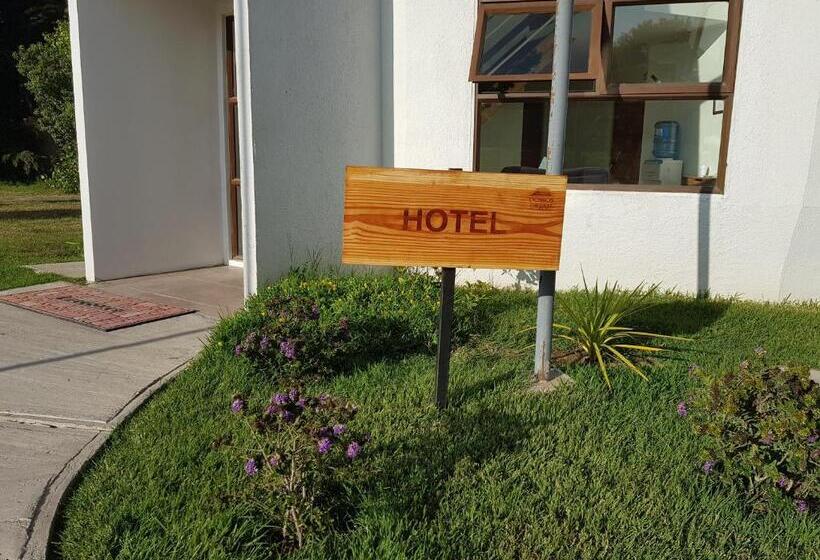 غرفة قياسية ثلاثية, Domos Dream