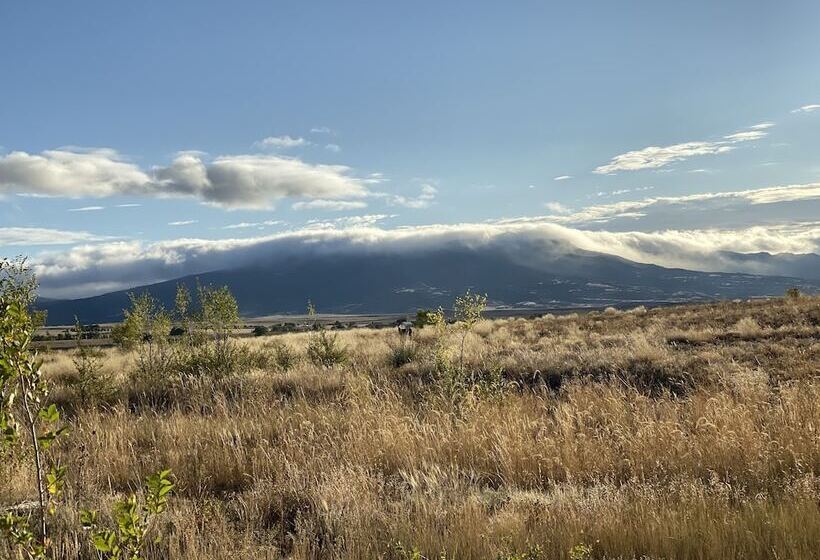 싱글 디럭스 룸, Oasis Botique Motel