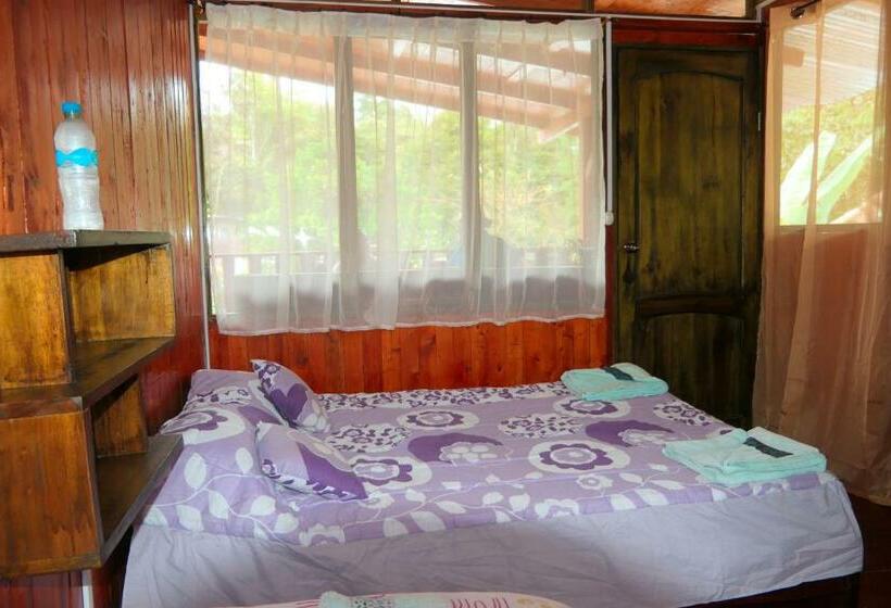 スタンダードルーム, Mindoxtrem Birds