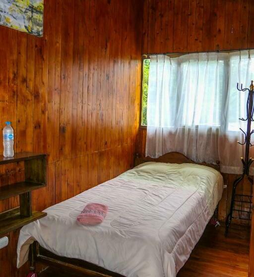 Habitación Estándar, Mindoxtrem Birds