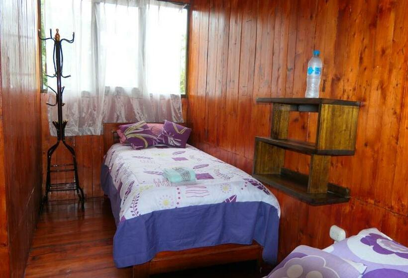 スタンダードルーム, Mindoxtrem Birds