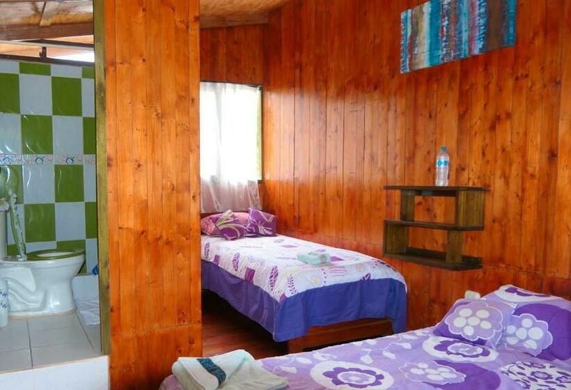 Habitación Estándar, Mindoxtrem Birds