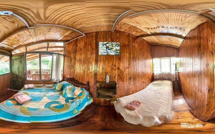 スタンダードルーム, Mindoxtrem Birds